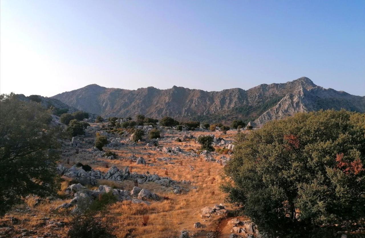 Casas Las Piedras De Agua Grazalema Dış mekan fotoğraf